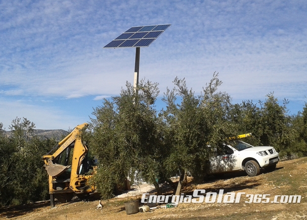 Bombeo Solar con 9 Paneles y Bomba Lorentz para Riego Directo en Olivar.