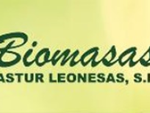 Biomasas Asturleonesas