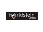 Logo Hybrid Stein Group