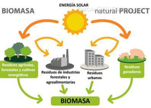 Biomasa