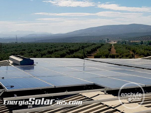 Proaco - Instalación 195 kWp