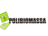 Polibiomasa