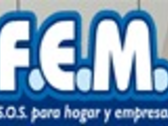 F.e.m.