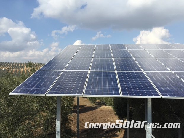 Bombeo solar 15CV para olivar