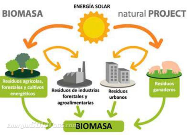 Biomasa