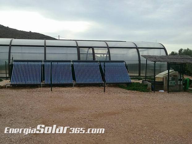 Instalación solar térmica para climatización de piscina en Las Palas (Cartagena)