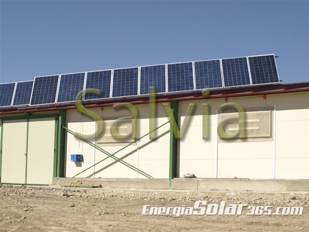 Placas solares en gallinas camperas