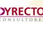 Dyrecto Consultores